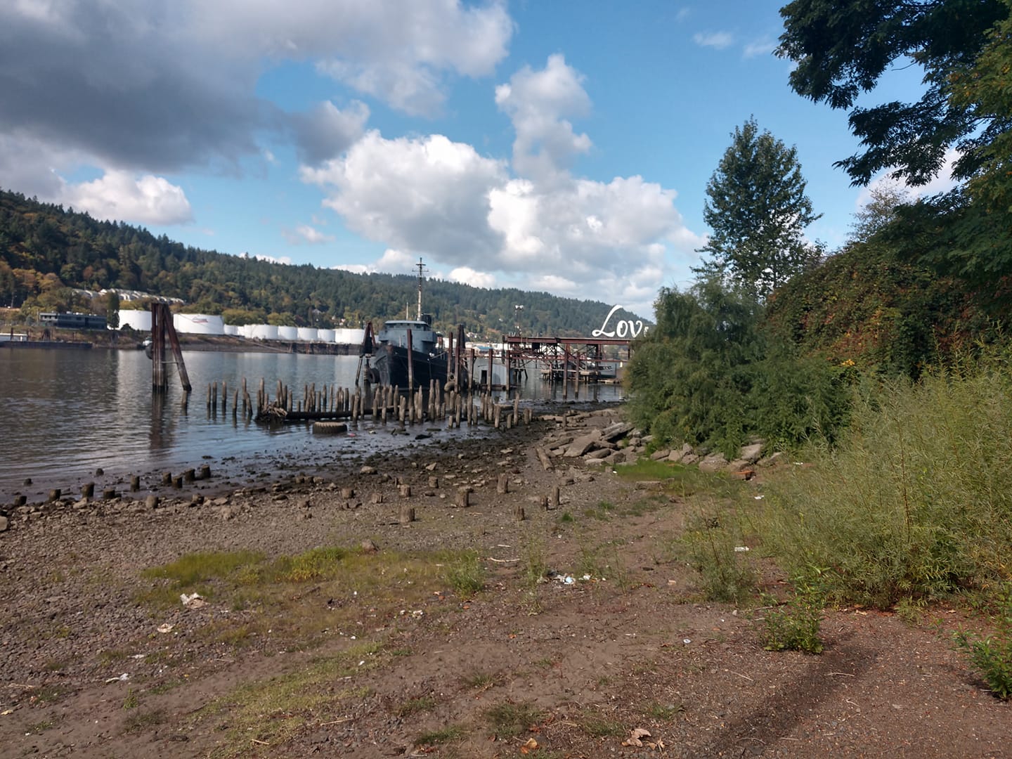 Willamette River Beach Cleanup - PDX Local